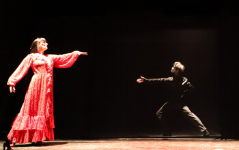 El flamenco cierra 'Comunidad a Escena'