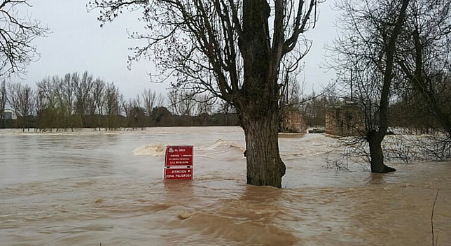 El Duero, a la altura de San Miguel del Pino.