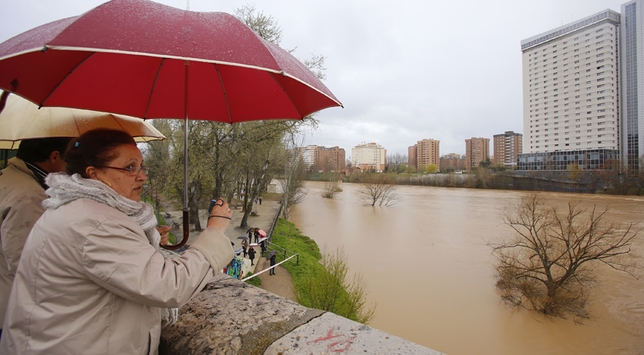 Curiosos observando el cauce del río a la altura de Las Moreras y el Puente Mayor.