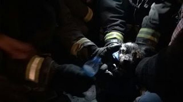 Rescatan a un perro de un contenedor soterrado de la calle Ferrocarril.