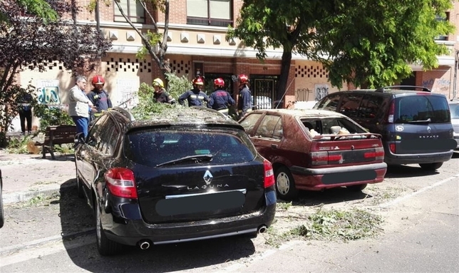La caída de un gran árbol causa daños en varios coches