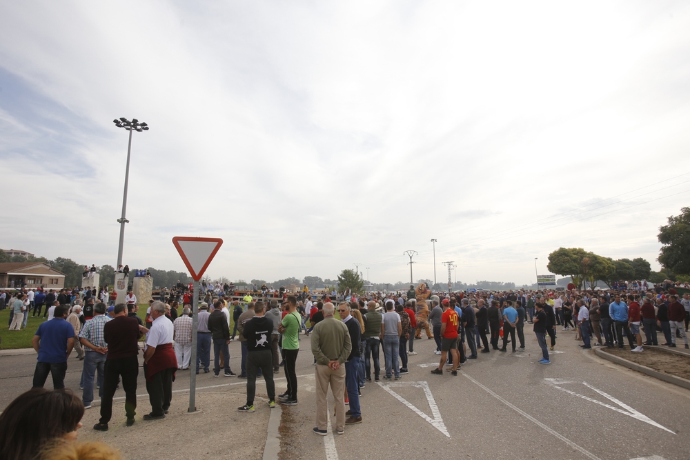 Toro de la Vega en Tordesillas  / JONATHAN TAJES