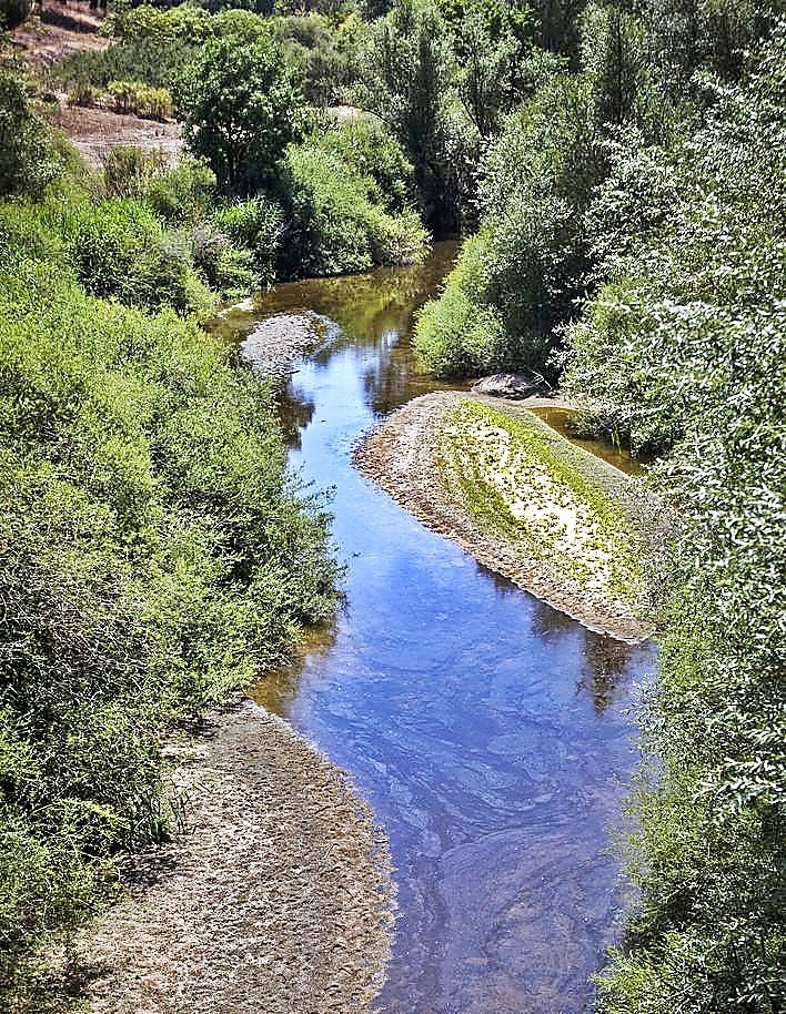 La sequía deja los ríos de Valladolid bajo mínimos