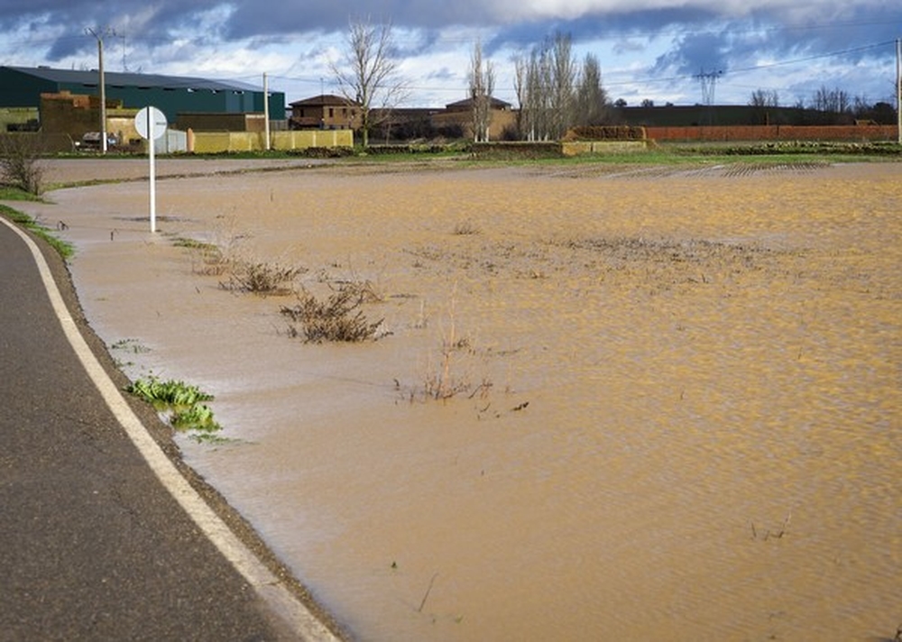 Campos inundados en Becilla donde el río Valderaduey ha provocado inundaciones.  / R. VALTERO (ICAL)