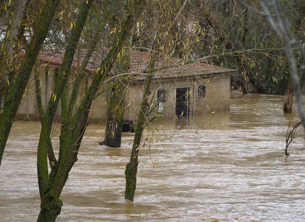 Un parque inundado por el río Cea en la localidad de Mayorga de Campos.  / R. VALTERO (ICAL)
