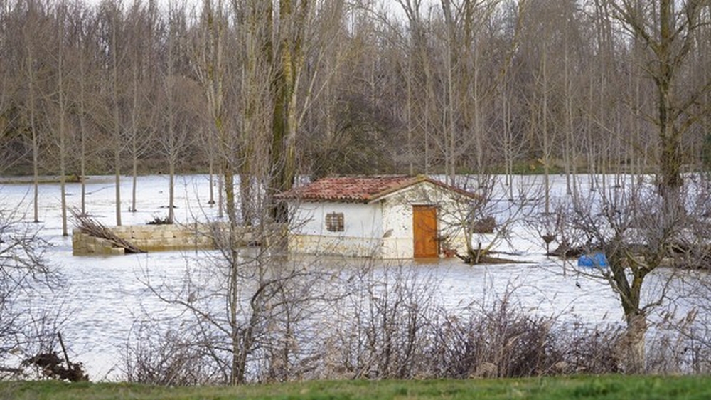 Inundaciones provocadas por el río Cea en la localidad de Melgar de Abajo.  / R. VALTERO (ICAL)