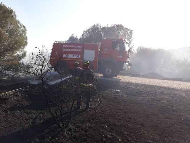 Los Bomberos de la Diputación extinguen un fuego de maleza.