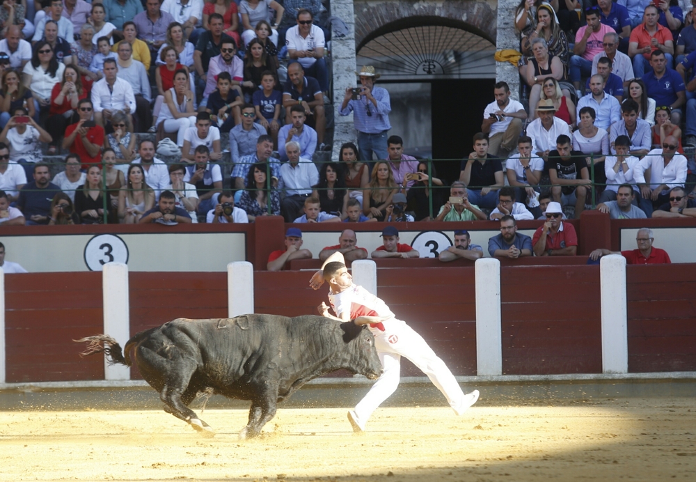 Concurso de cortes  / JONATHAN TAJES