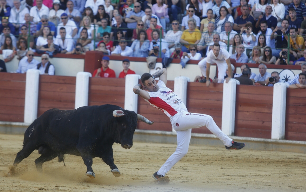 Concurso de cortes  / JONATHAN TAJES