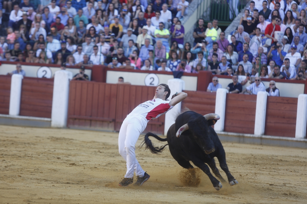 Concurso de cortes  / JONATHAN TAJES