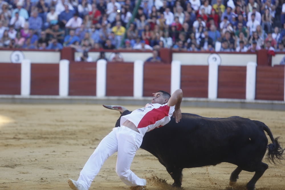 Concurso de cortes  / JONATHAN TAJES