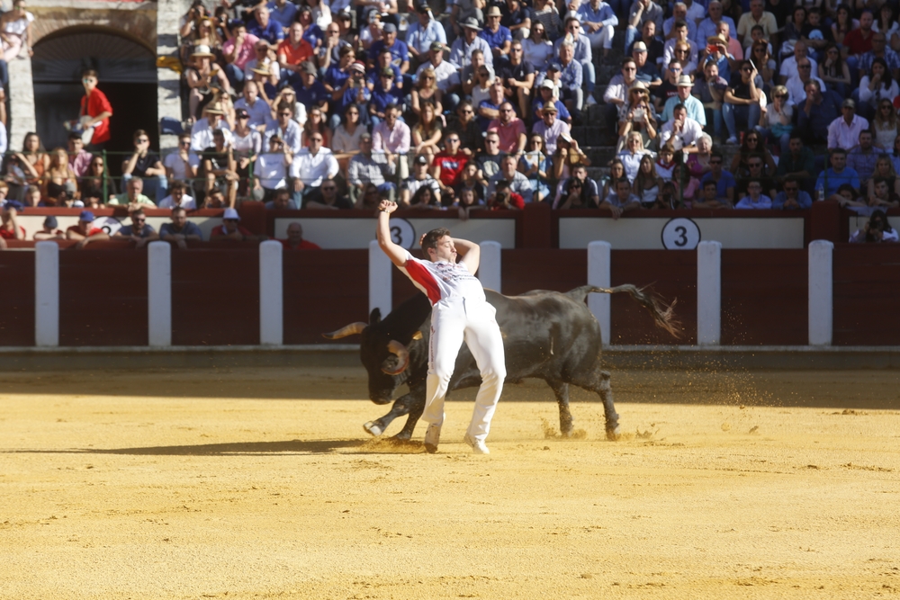 Concurso de cortes  / JONATHAN TAJES