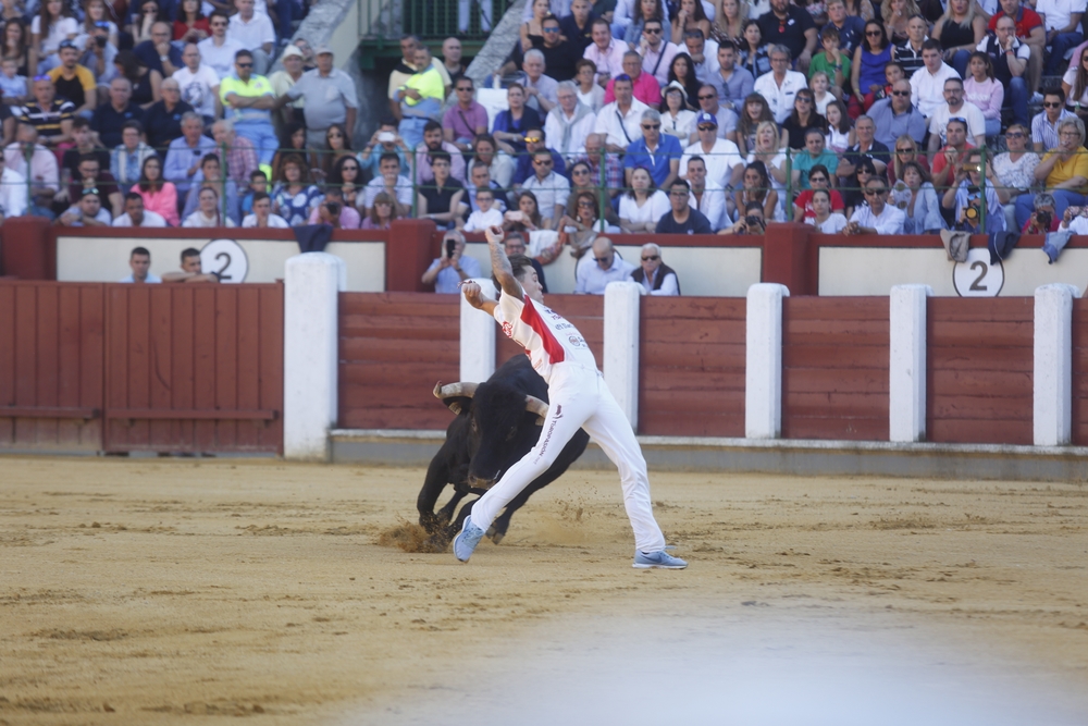 Concurso de cortes  / JONATHAN TAJES