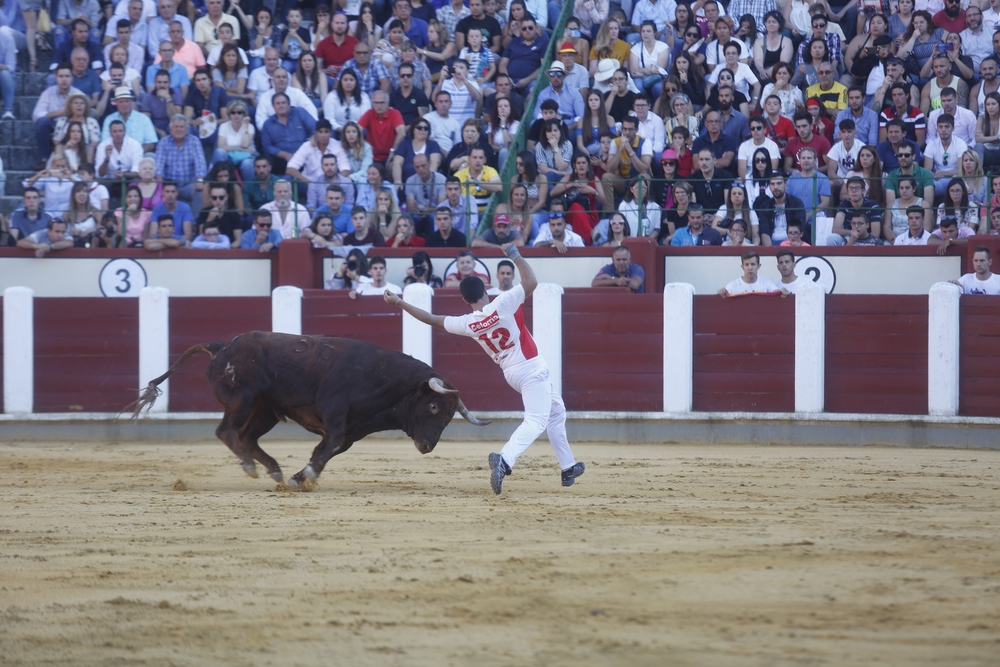 Concurso de cortes  / JONATHAN TAJES