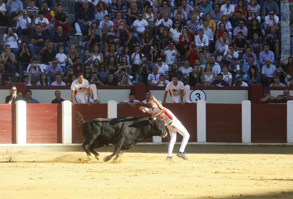 Concurso de cortes  / JONATHAN TAJES