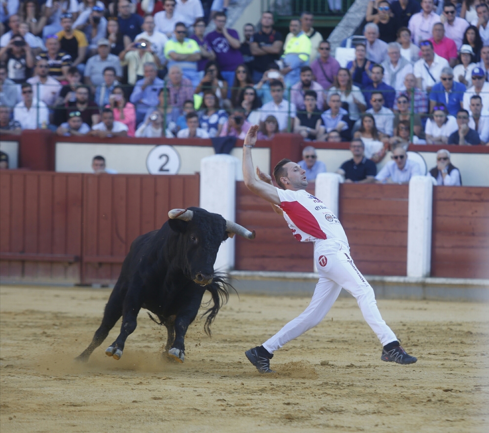 Concurso de cortes  / JONATHAN TAJES