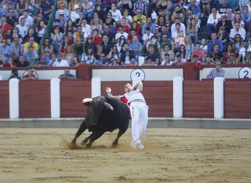 Concurso de cortes  / JONATHAN TAJES