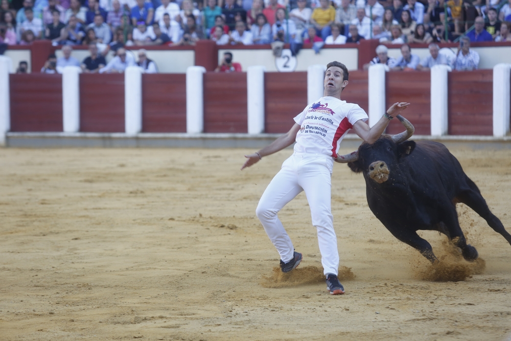 Concurso de cortes  / JONATHAN TAJES