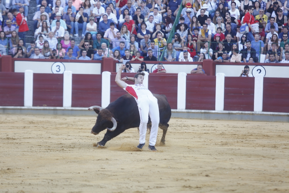 Concurso de cortes  / JONATHAN TAJES