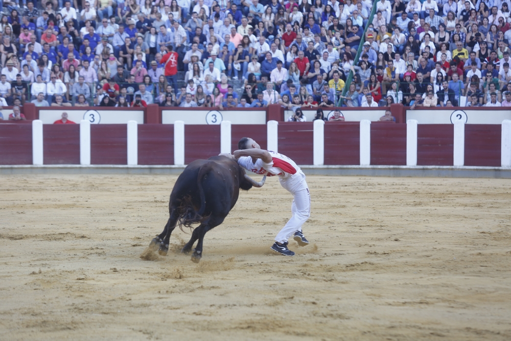 Concurso de cortes  / JONATHAN TAJES