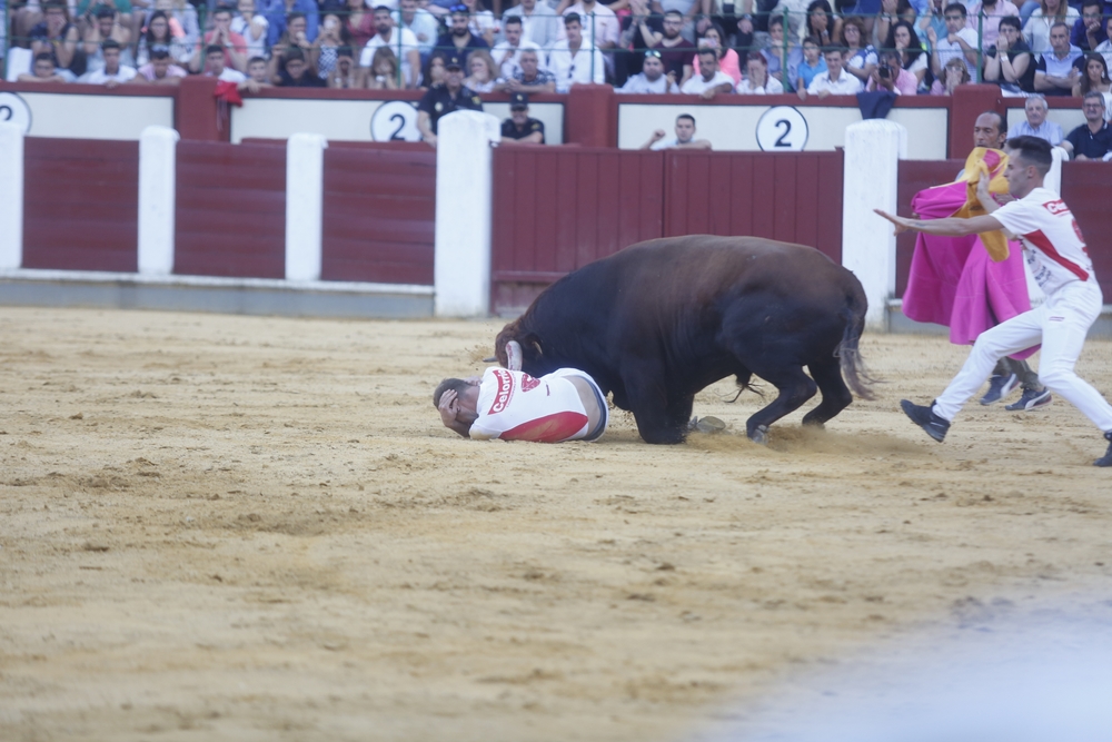 Concurso de cortes  / JONATHAN TAJES