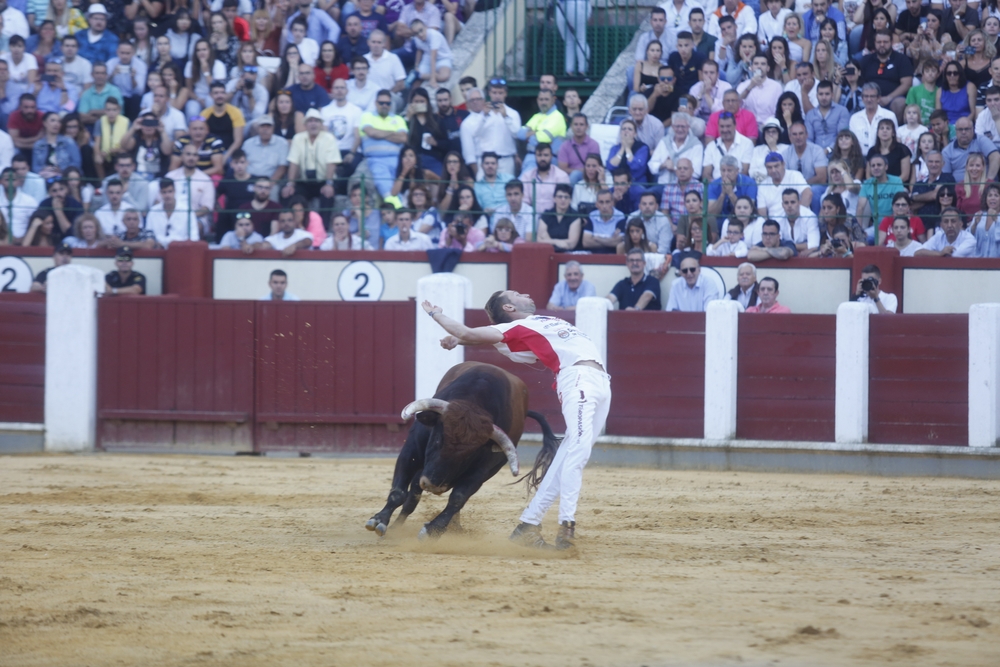 Concurso de cortes  / JONATHAN TAJES