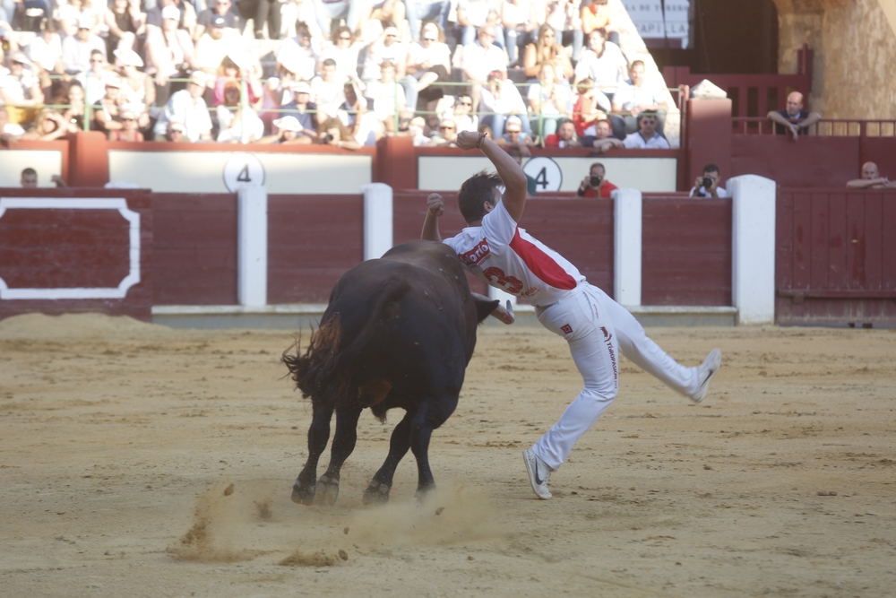 Concurso de cortes  / JONATHAN TAJES