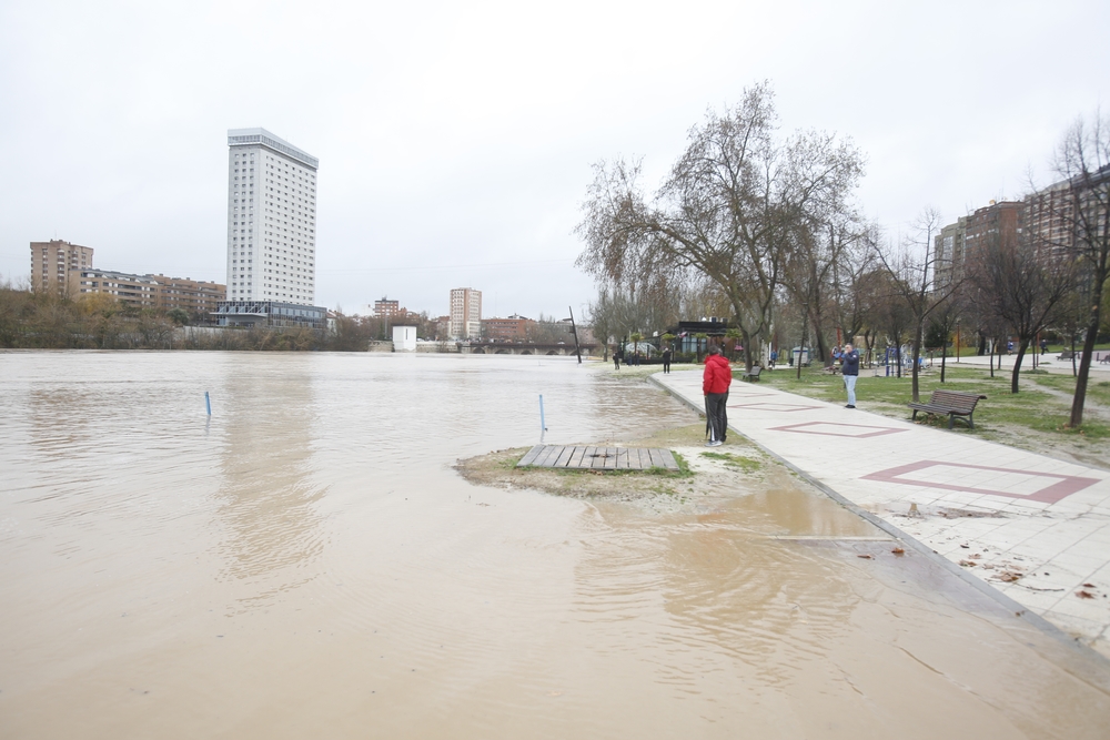 Estado del río Pisuerga en Valladolid  / JONATHAN TAJES