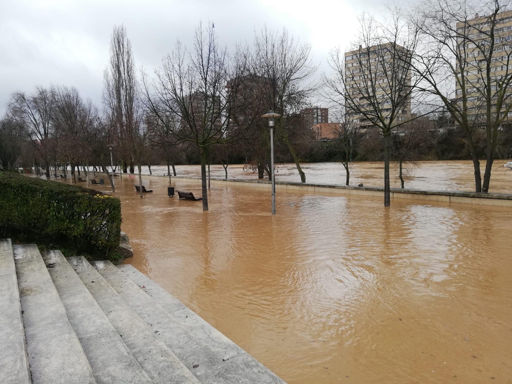 Estado del río Pisuerga en Valladolid  / El Día de Valladolid