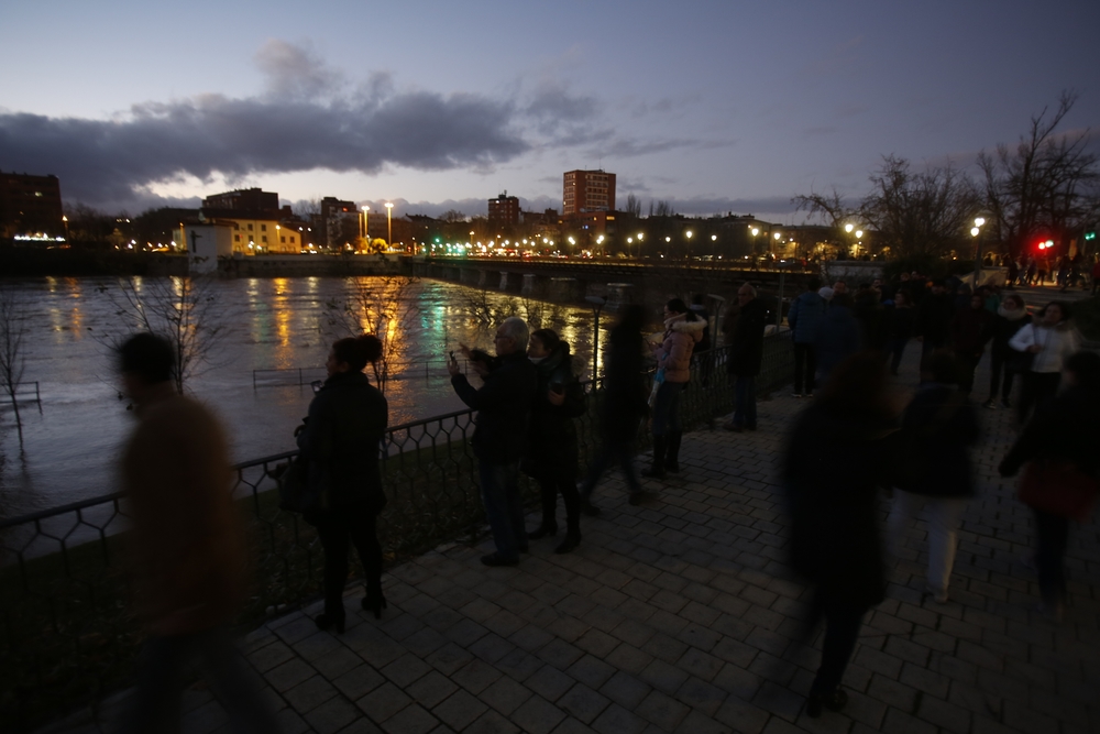 Estado del río Pisuerga en Valladolid  / JONATHAN TAJES