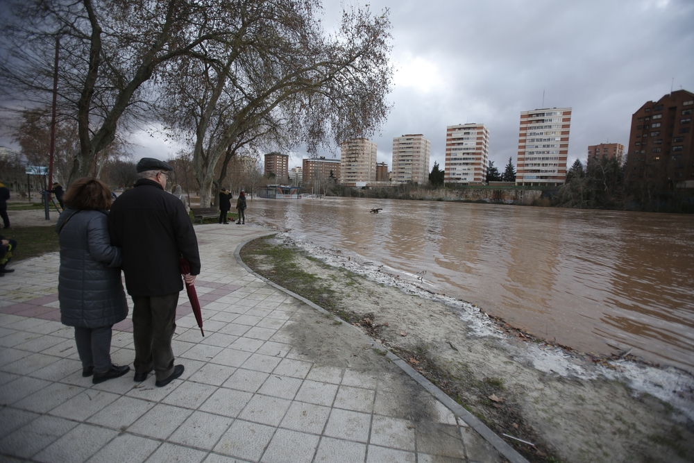 Estado del río Pisuerga en Valladolid  / JONATHAN TAJES