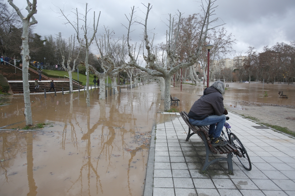 Estado del río Pisuerga en Valladolid  / JONATHAN TAJES