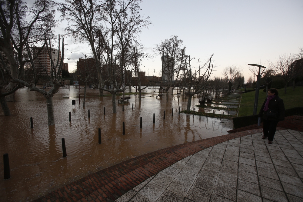 Estado del río Pisuerga en Valladolid  / JONATHAN TAJES