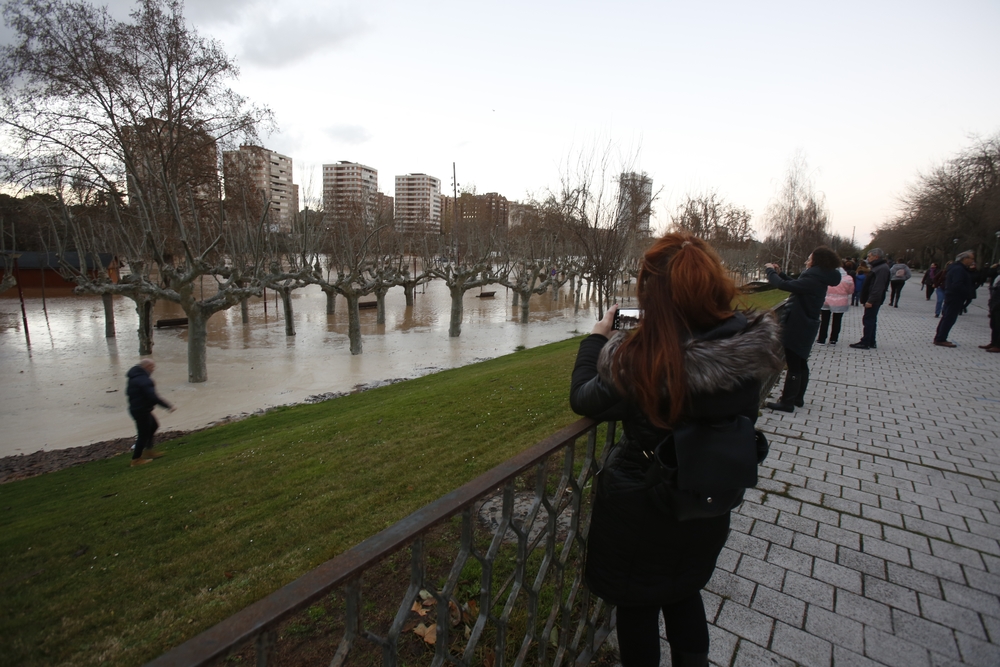 Estado del río Pisuerga en Valladolid  / JONATHAN TAJES