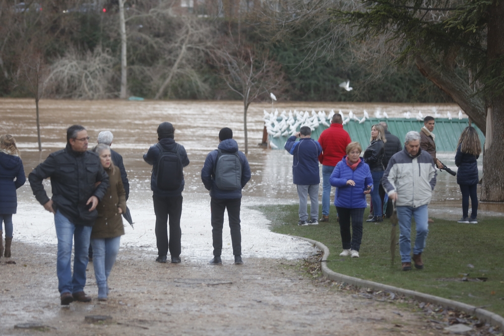 Estado del río Pisuerga en Valladolid  / JONATHAN TAJES