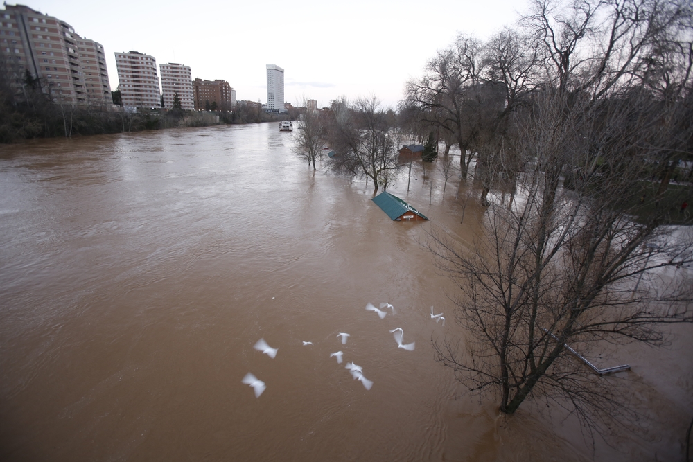 Estado del río Pisuerga en Valladolid  / JONATHAN TAJES