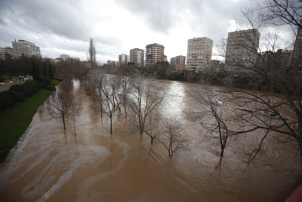 Estado del río Pisuerga en Valladolid  / JONATHAN TAJES