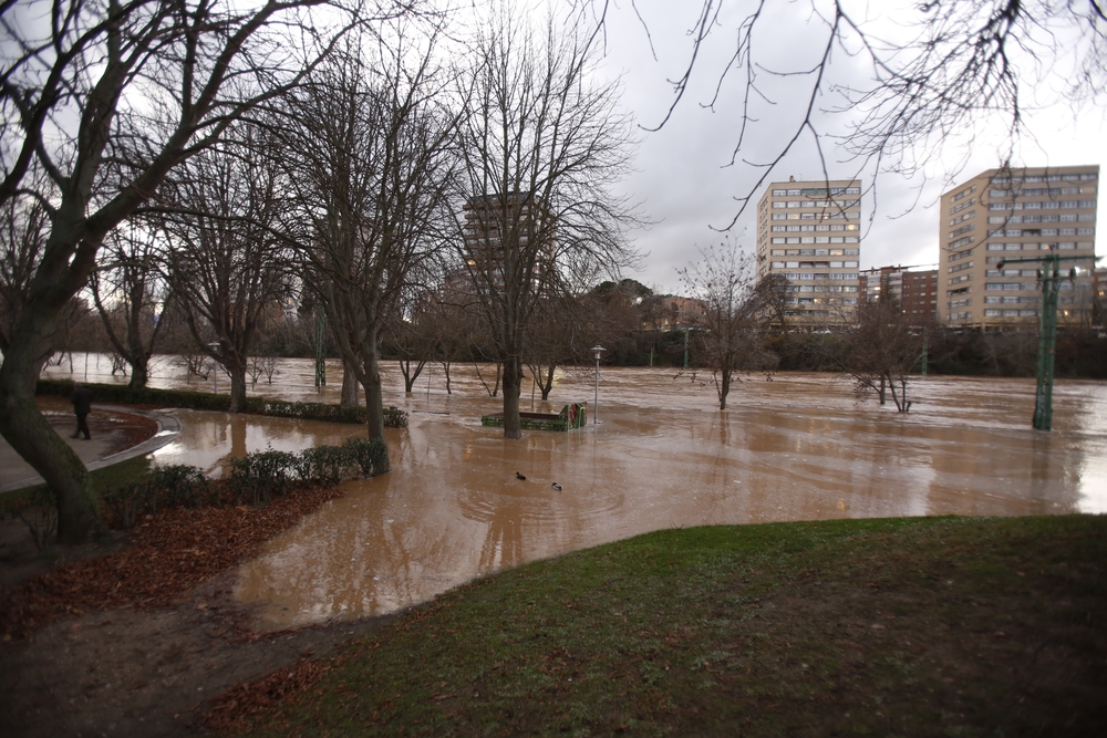 Estado del río Pisuerga en Valladolid  / JONATHAN TAJES