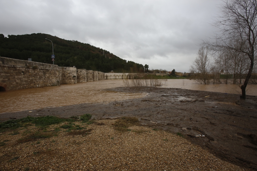 Río Pisuerga a su paso por el término de Cabezón de Pisuerga  / JONATHAN TAJES