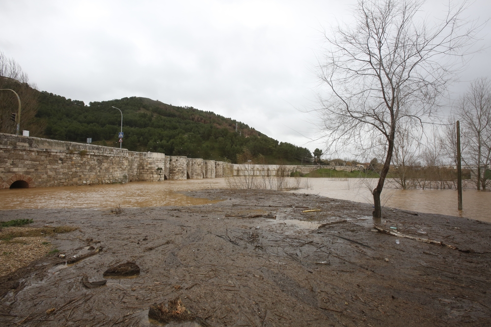Río Pisuerga a su paso por el término de Cabezón de Pisuerga  / JONATHAN TAJES