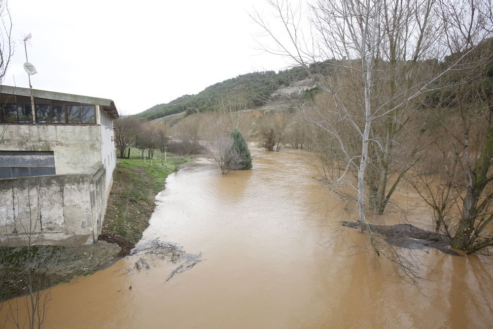 Río Pisuerga a su paso por el término de Cabezón de Pisuerga  / JONATHAN TAJES