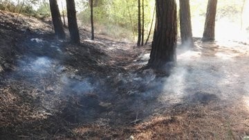 Sofocan sendos incendios forestales en Laguna y Rábano