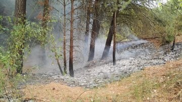 Sofocan sendos incendios forestales en Laguna y Rábano