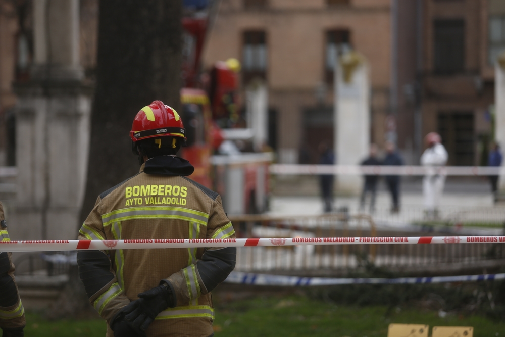 Los bomberos retiran un nido de cigüeñas en Valladolid  / JONATHAN TAJES