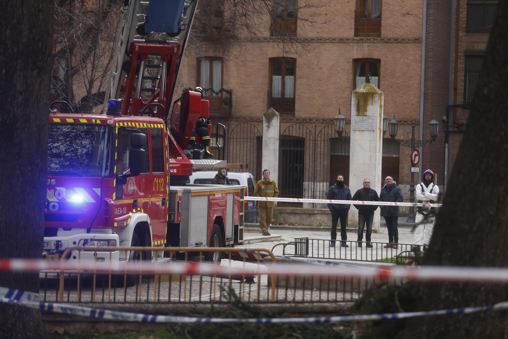 Los bomberos retiran un nido de cigüeñas en Valladolid