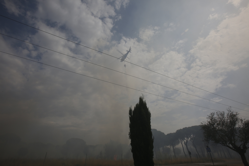 Incendio en el entorno de Entrepinos (Simancas)  / JONATHAN TAJES