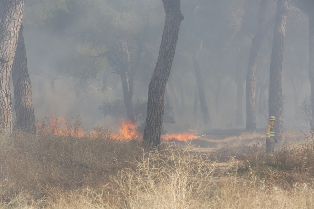 Incendio en el entorno de Entrepinos (Simancas)  / JONATHAN TAJES