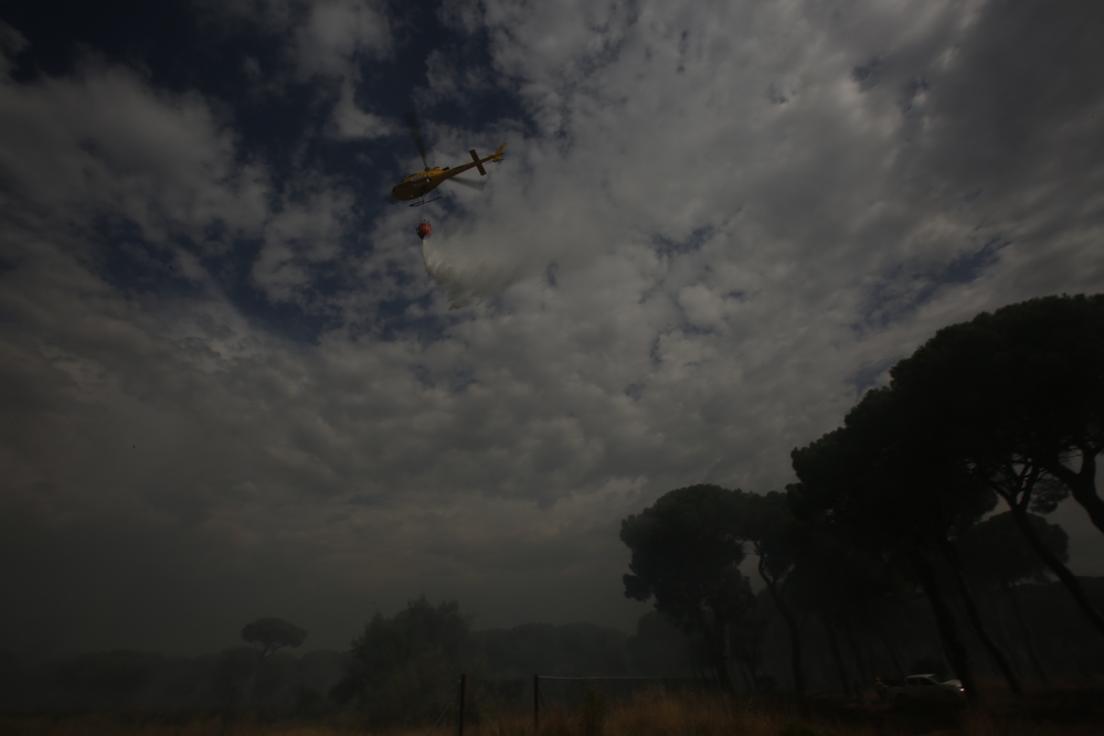 Incendio en el entorno de Entrepinos (Simancas)  / JONATHAN TAJES