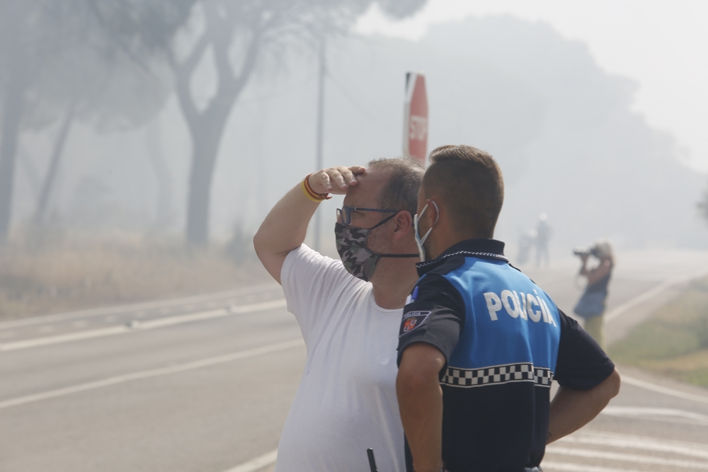 Incendio en el entorno de Entrepinos (Simancas)  / JONATHAN TAJES