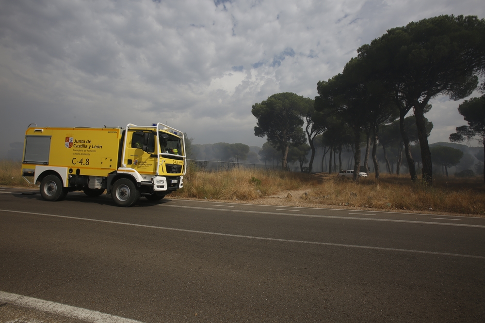 Incendio en el entorno de Entrepinos (Simancas)  / JONATHAN TAJES